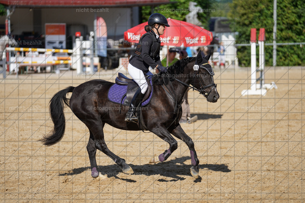 20240824-FAH07371 | Thierhaupten 2024, Bayerisches Landesponyturnier, Turnierbilder, Ponybilder, Turnierfotografen Bayern, Fotoagentur Herrmann