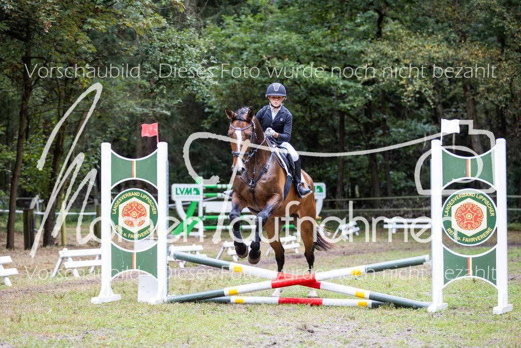 HB-Caprilli-013 | MomenTaufnahmen Pferdesportfotos