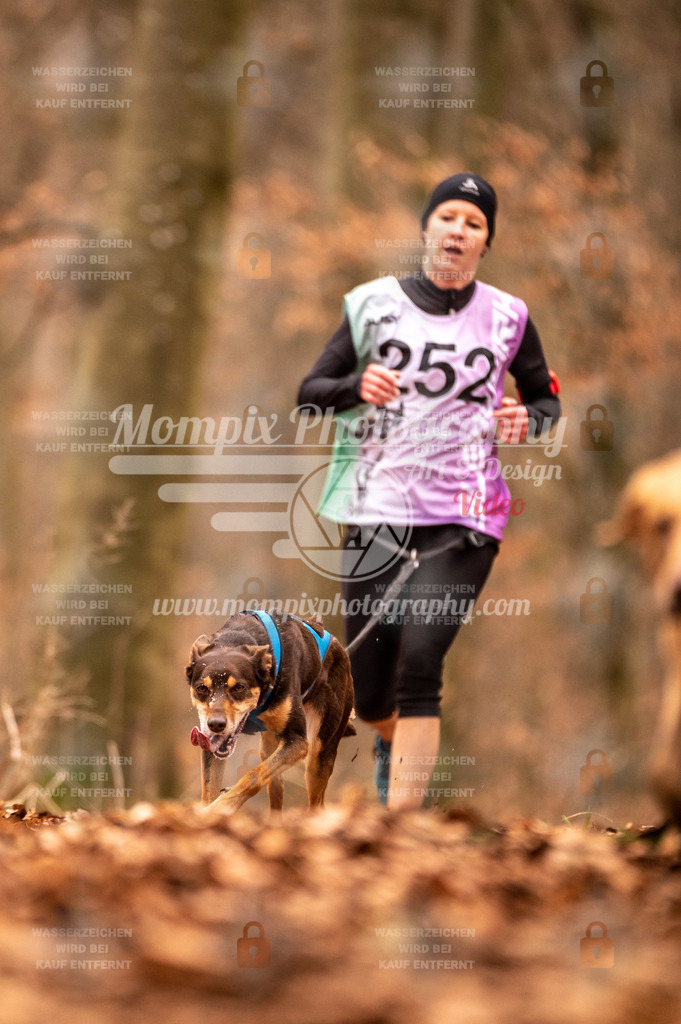 AKM_ST_2023_Son_Run-78 | PayLife