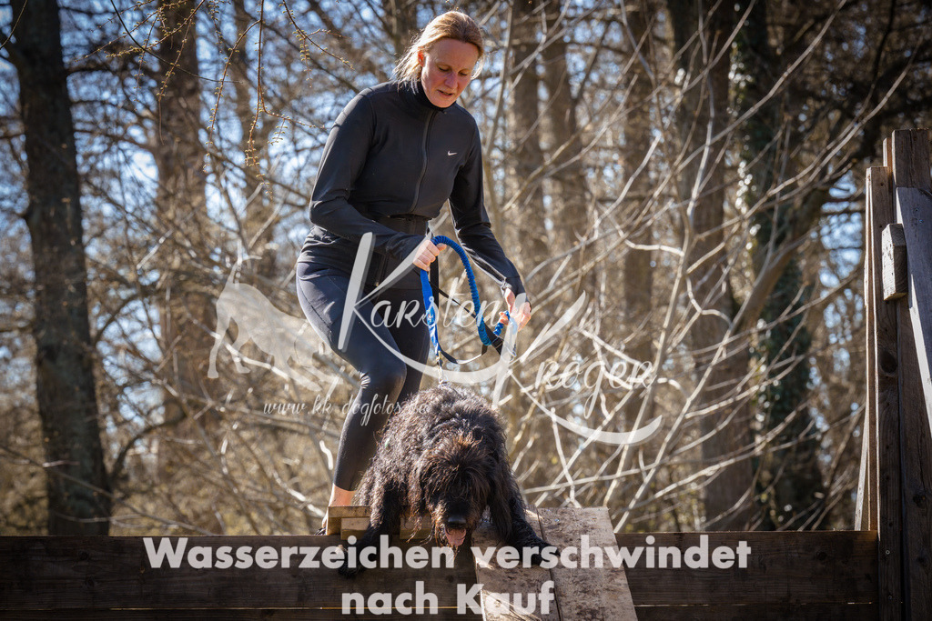 0930_ZZ95937 | kk-dogfotos