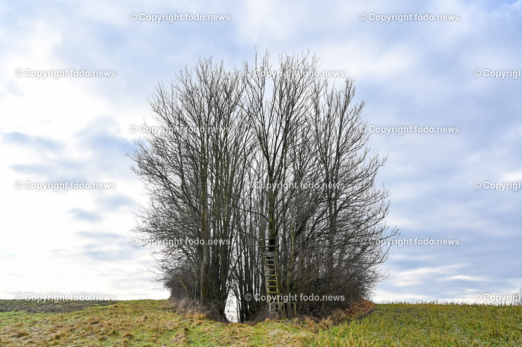 Donaulimes_ Naturdenkmal Kuhschellenboeschung_ 28.12.2022-3 | 28.12.2022, Wilhering, AUT, Donaulimes, im Bild Naturdenkmal Kuhschellenboeschung