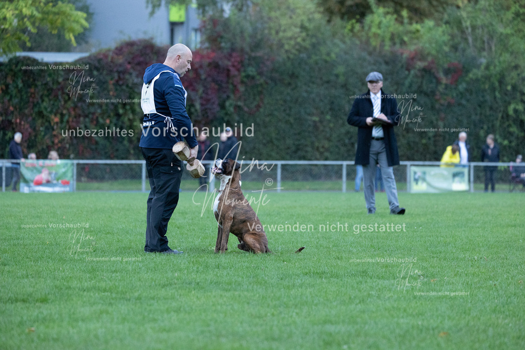 _16A4452 | Einzigartige Fotos von Hunden & Menschen –Actionfotos, Portraits, Vereinsaufnahmen & Paarshootings – authentisch, lebendig & mit Herz.