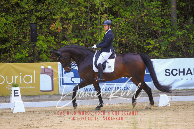 DKP41389 | Turniersportfotografie; Pferdefotografie; Dressurfotografie