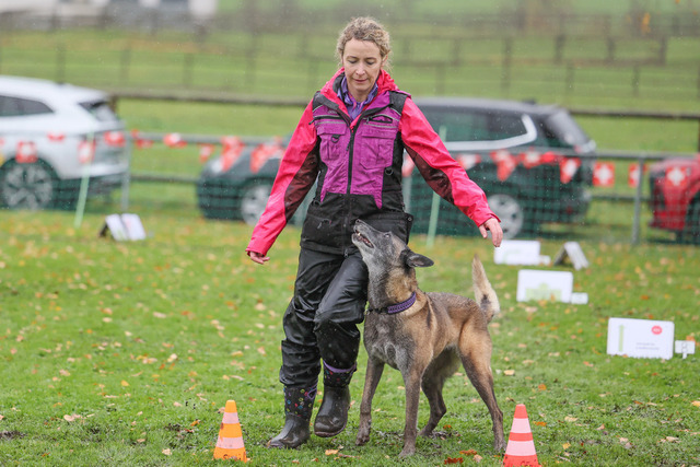 2025_Rally_Obedience_SM-195 | Ich fotografiere Hundeausstellungen, Sportanlässe, Zuchtstätten, Hundezucht, Hundeportrait, Lagotto - Realisiert mit Pictrs.com