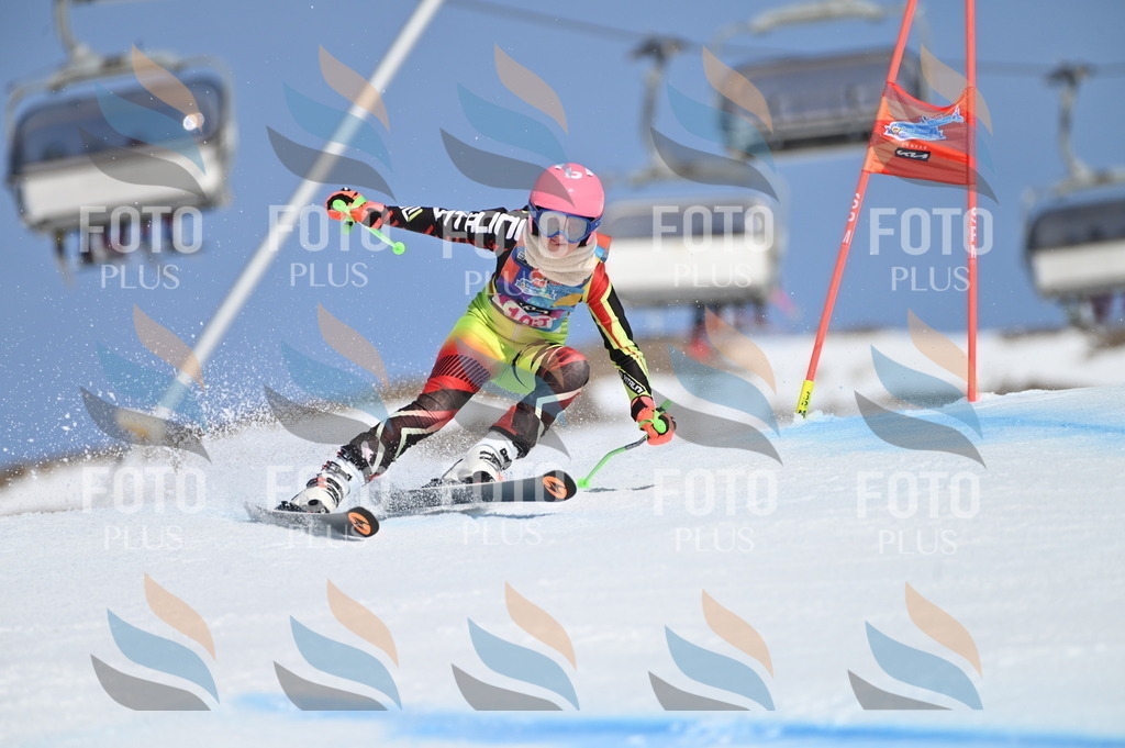 BGV_9541 | holidayphoto