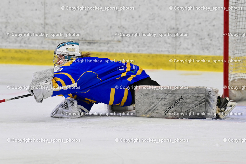 1. EHC Althofen vs. ESC Sparkasse Steindorf  | #1 Adamitsch Anja EHC Althofen, 1. EHC Althofen vs. ESC Sparkasse Steindorf , 1. EHC Althofen vs. ESC Sparkasse Steindorf  am 08.03.2026 in Althofen (Stadthalle Althofen), Austria, (Photo by Bernd Stefan)