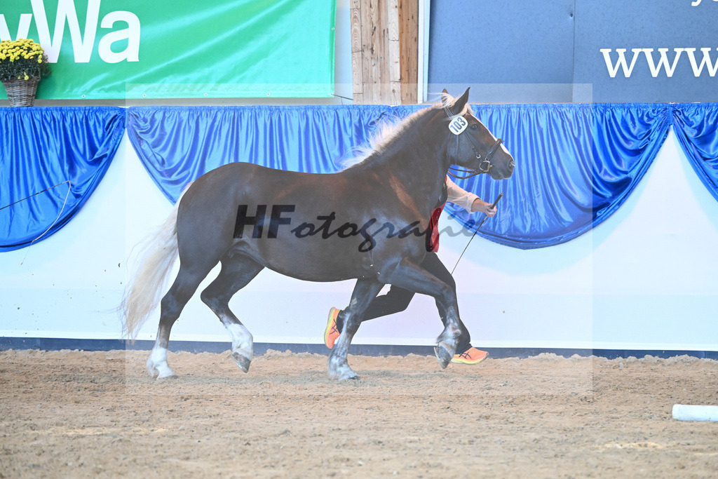 Kat-Nr. 103 F-Mathilda_ZG Heeres-Draeger_53220724 | hf-fotografie - Realizzato con Pictrs.com