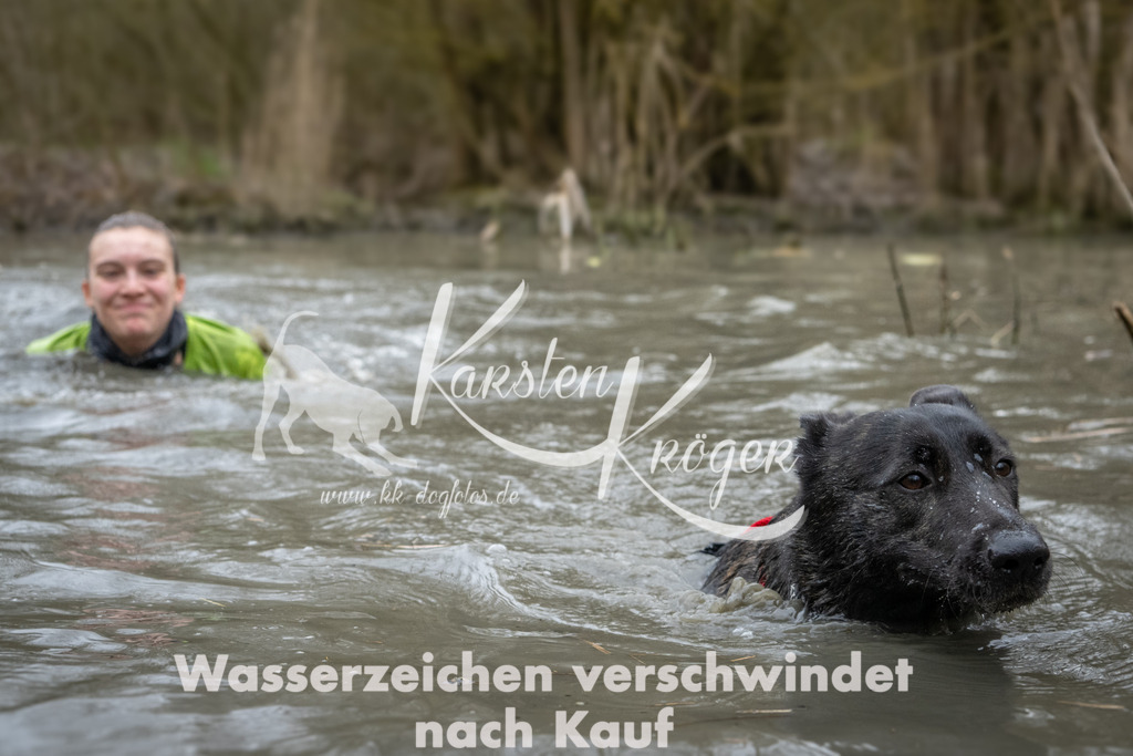 1111_ZZ97208 | kk-dogfotos