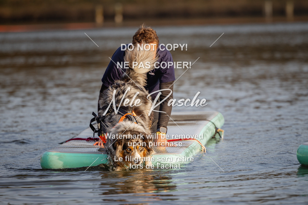 nelerasche_Hulsbeek_Sa1700-1730_286 | nelerasche