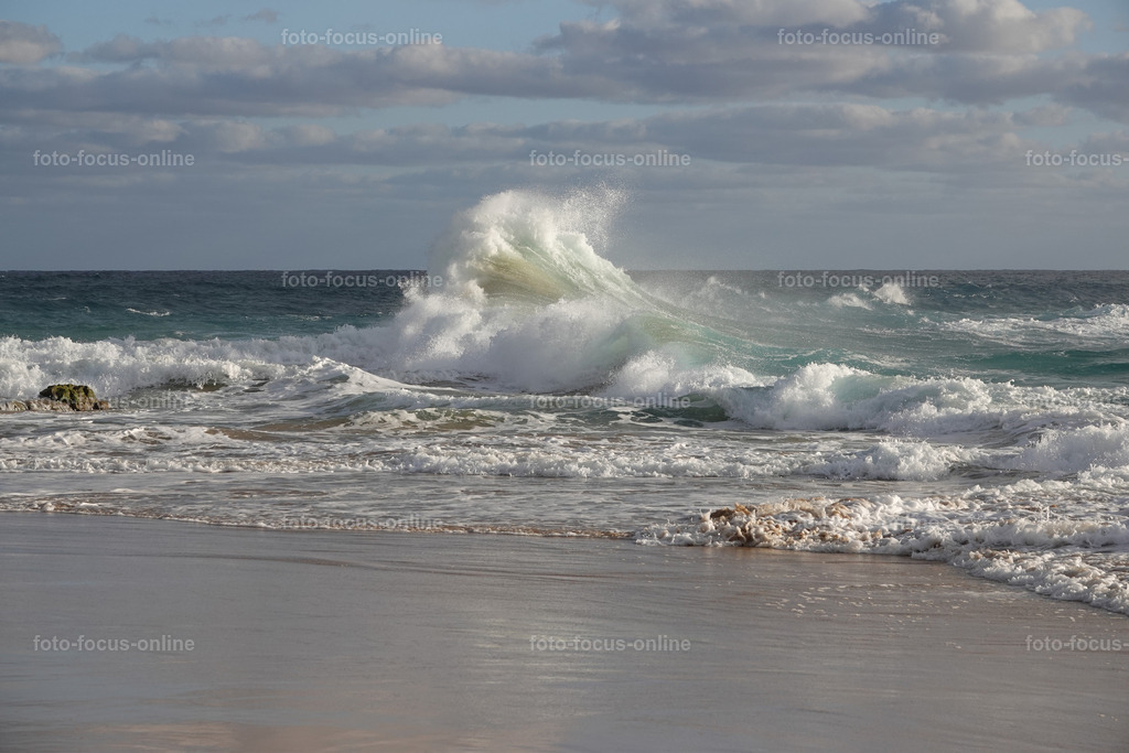 waves | Elemental power of the waves