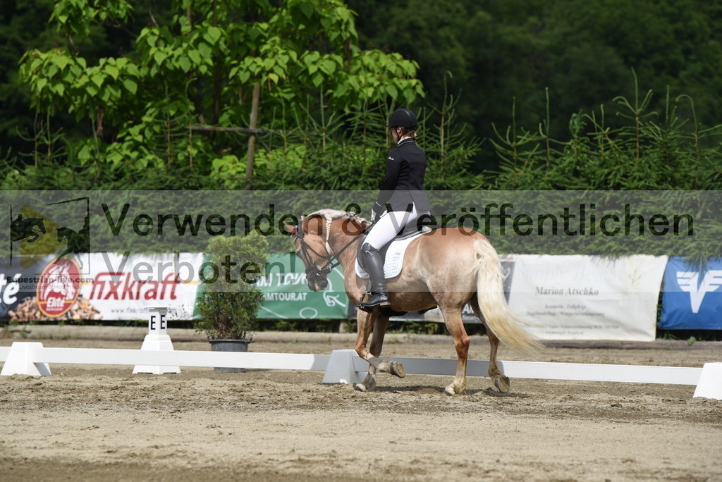 DSC_8509 | equestrian-live-com