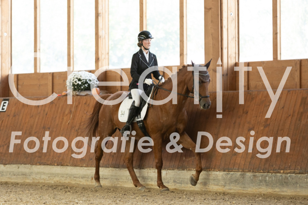 IMG_1634 | Creatify Fotografie