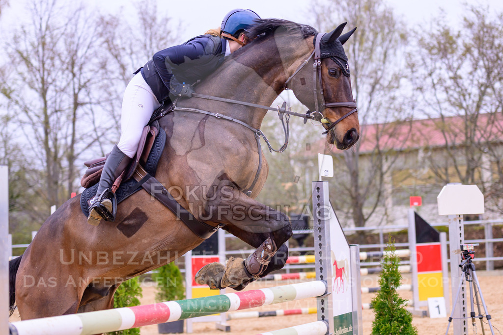 12042026-Mammendorf-Prfg42-0283 | Fokus Hufschlag Fotografie - Realisiert mit Pictrs.com