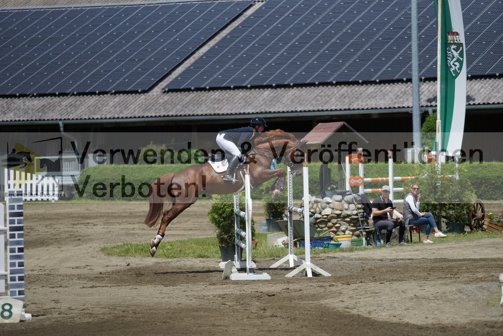 DSC05156 | equestrian-live-com