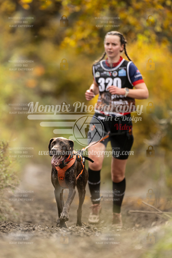 MompixPhotography_ICF_WC_2024_SA_Run_-211 | PayLife