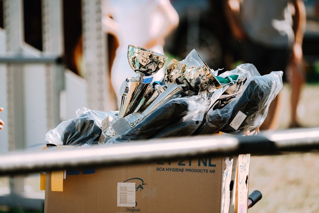 DSC_7085 | Pferde- und Turnierfotografie in Westsachsen. Pferdeportraits, Auftragszeichnungen und intuitive Kunst.