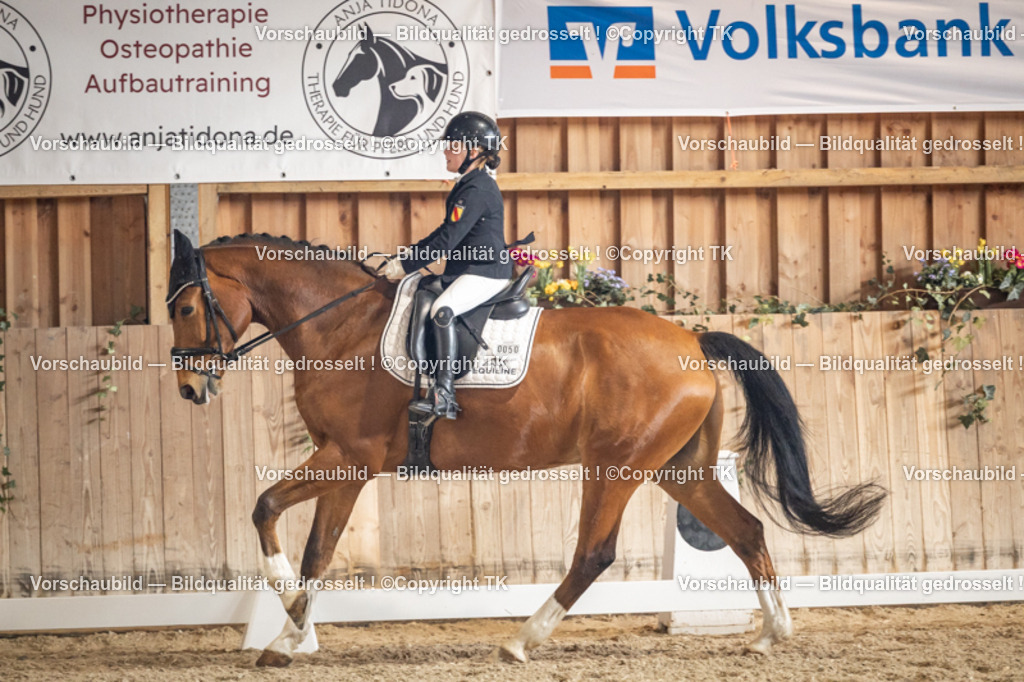 _D5A1483 | Emotionale Pferde- & People-Fotografie rund um Heidelberg, Leimen & Umgebung. Natürliche Fotos von Pferd, Mensch & Familie. Jetzt Termin sichern!