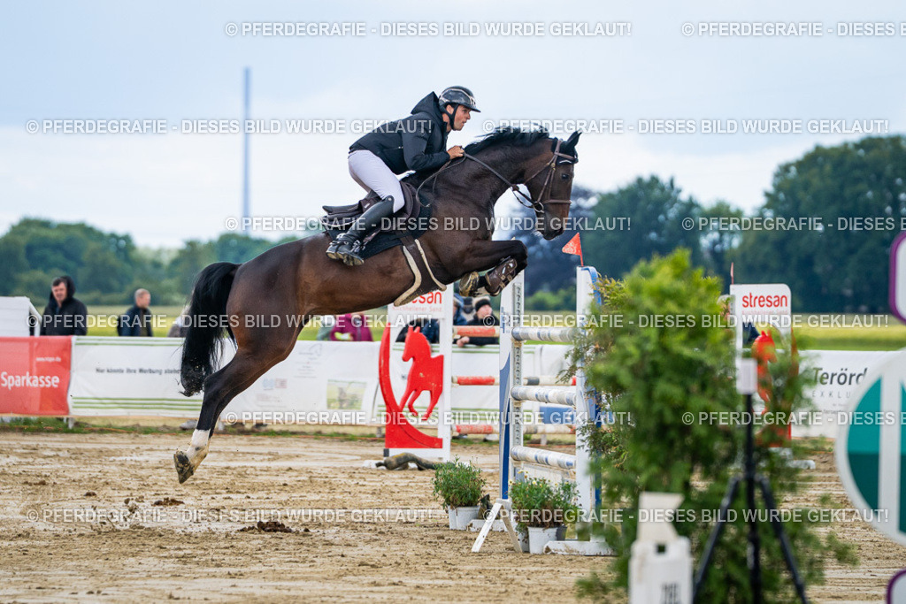 DSC05448 | Pferdegrafie