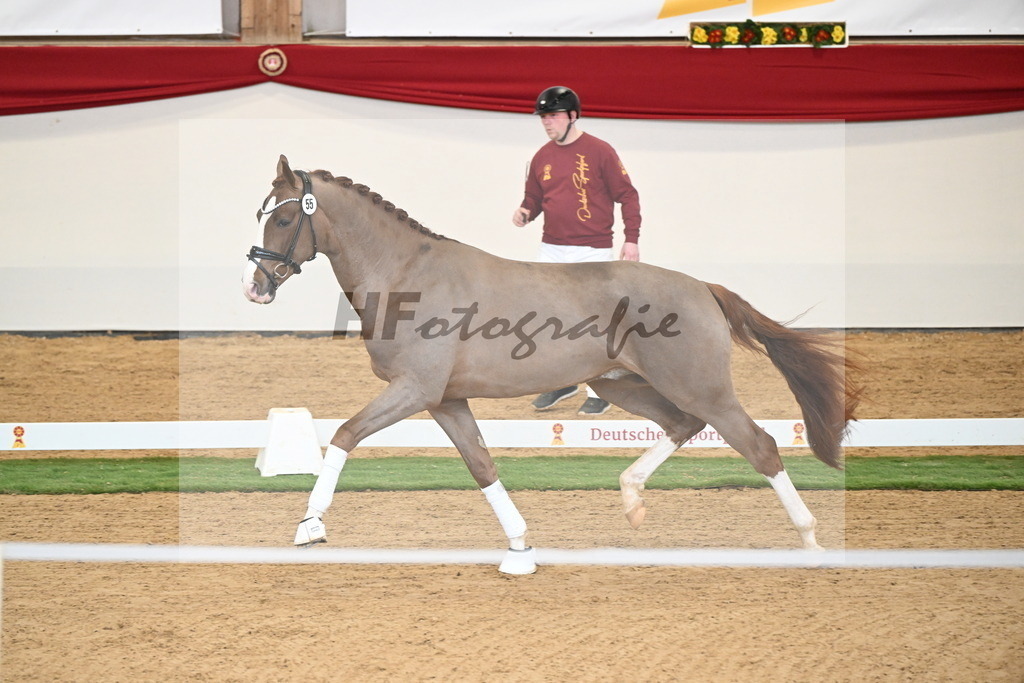 Kat.-Nr. 55 v. Ellis_Senf _ Kampmann_2250407 | hf-fotografie - Realisiert mit Pictrs.com