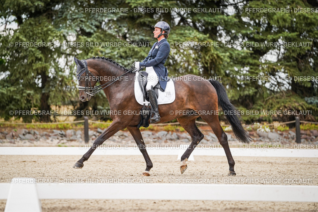 DSC07379 | Pferdegrafie