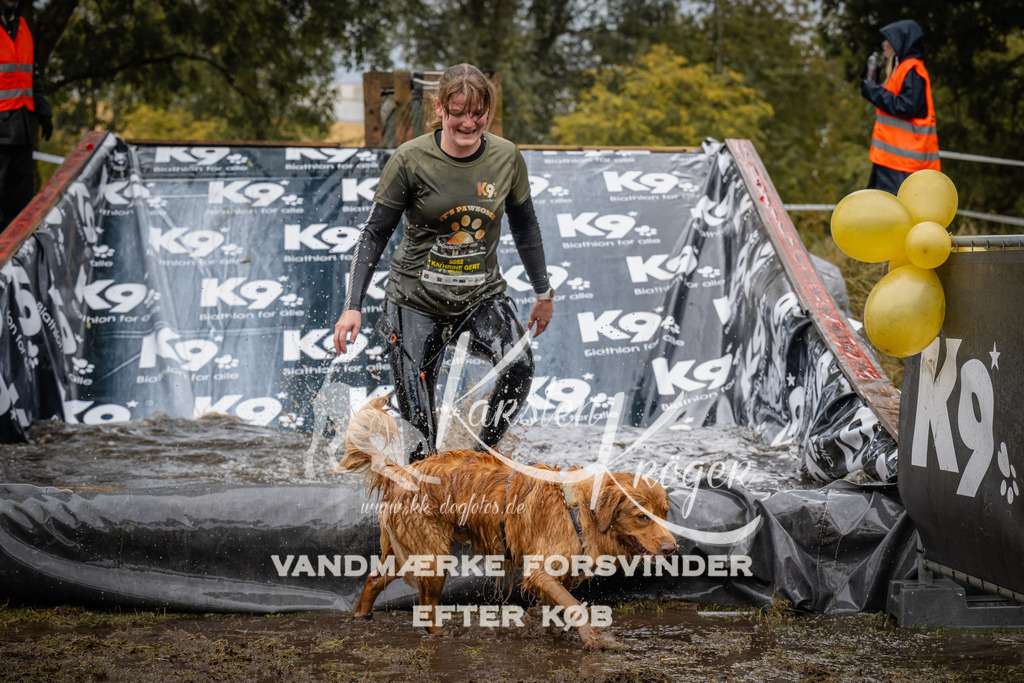 1254_ZZ90826 | kk-dogfotos