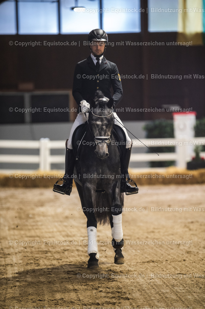 20240302_Hengstvorstellung_Marbach_TOMsPiC_0171 | equistock