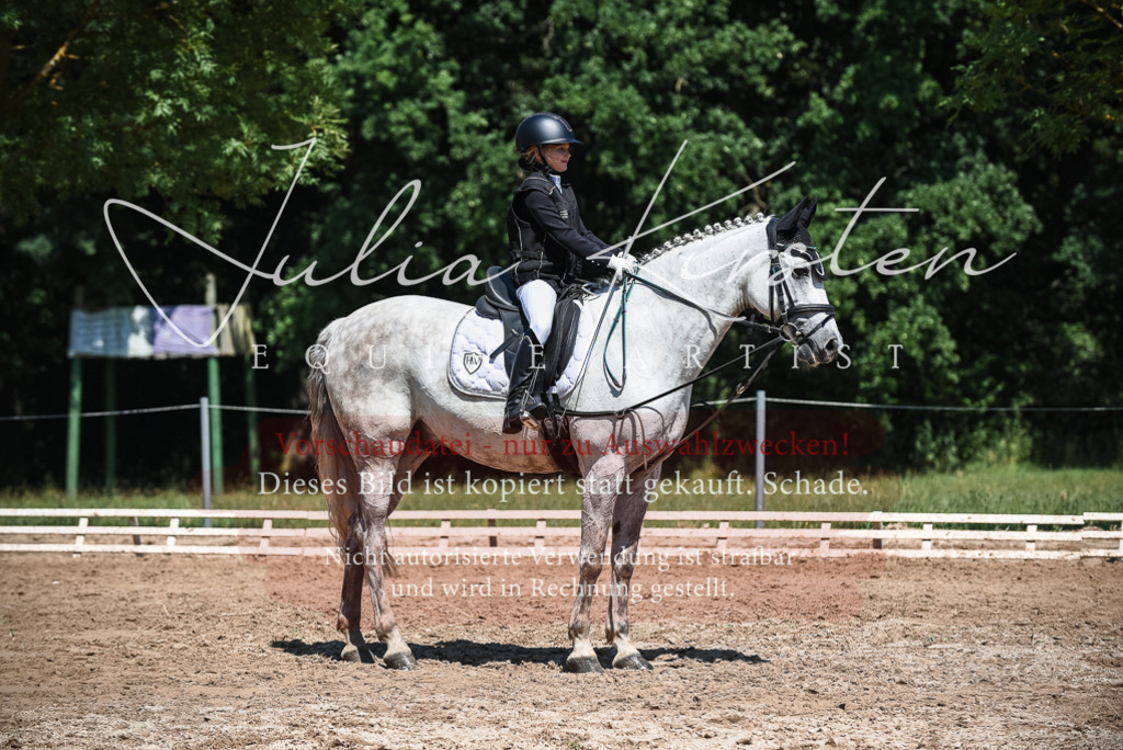 DSC_3134 | Pferde- und Turnierfotografie in Westsachsen. Pferdeportraits, Auftragszeichnungen und intuitive Kunst.