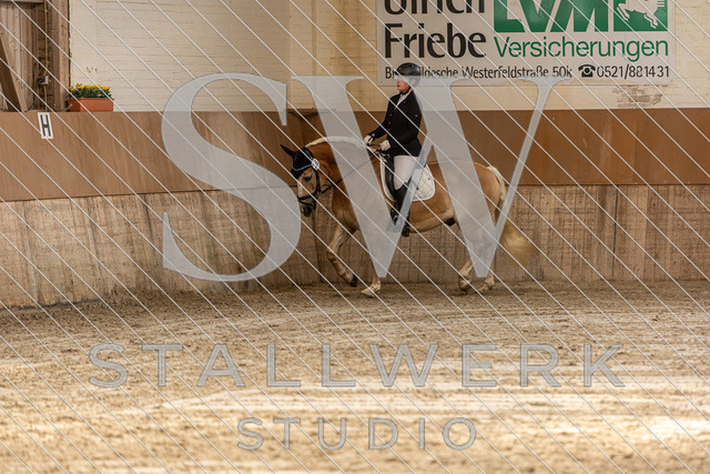 2L2A0654 | stallwerkstudio - Realisiert mit Pictrs.com