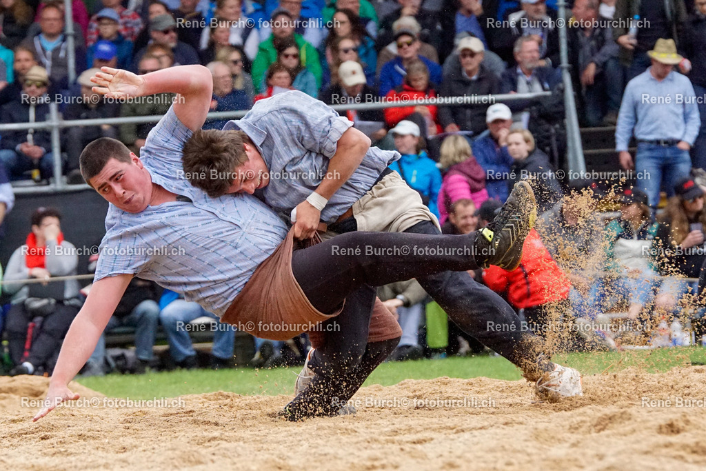 _DSC1236 | René Burch leidenschaftlicher Fotograf aus Kerns in Obwalden.  Hier finden sie Sport, Landschaft und Natur Fotografie.
 - Realisiert mit Pictrs.com