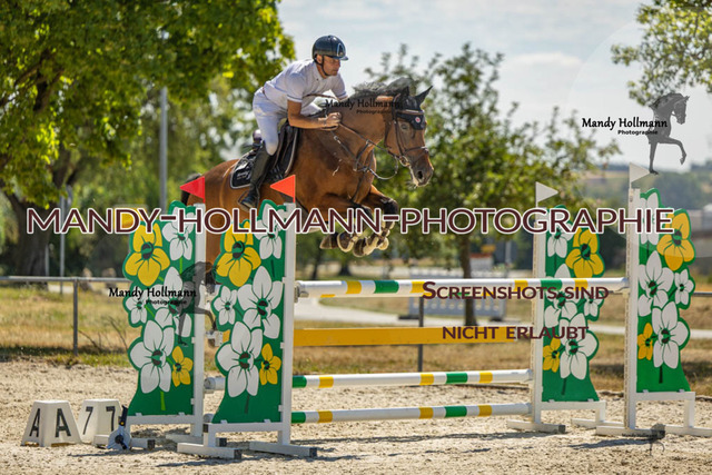 26-7-24 SPF M+-1085 | mandyhollmannphotographie