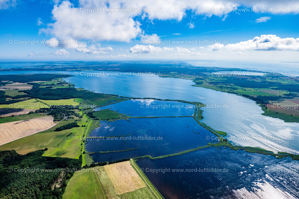Klotzow_Peenstrom_Renaturierung_ELS_7501100822 | MURCHIN 10.08.2022 Renaturierungsmaßnahmen mit Flutungen und Aushebungen an den Uferbereichen des Flusses " Peene " in Murchin im Bundesland Mecklenburg-Vorpommern, Deutschland. // Renaturation measures with flooding and excavations on the shore areas of the river " Peene " in Murchin in the state Mecklenburg - Western Pomerania, Germany. Foto: Martin Elsen