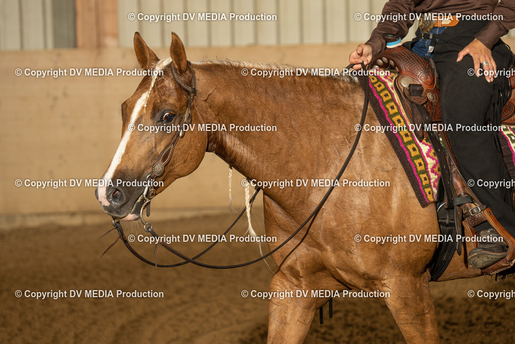 LAU00344 | dv-media-shop - Realisiert mit Pictrs.com