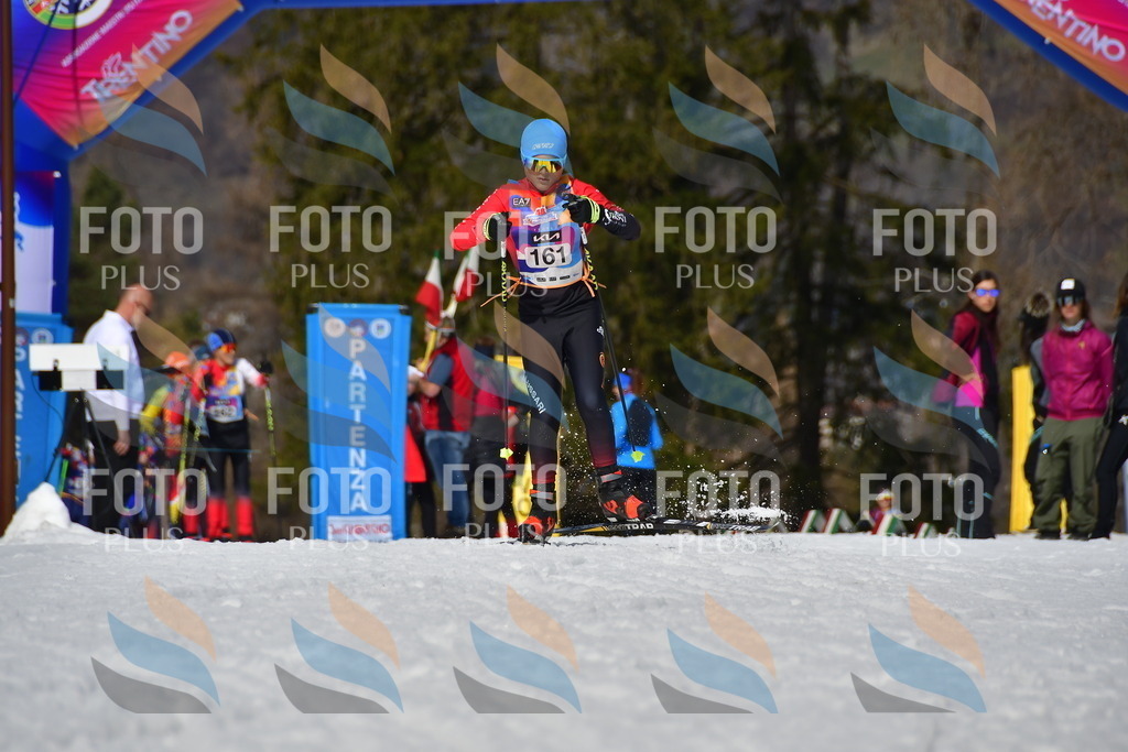 _DSC0417 | holidayphoto