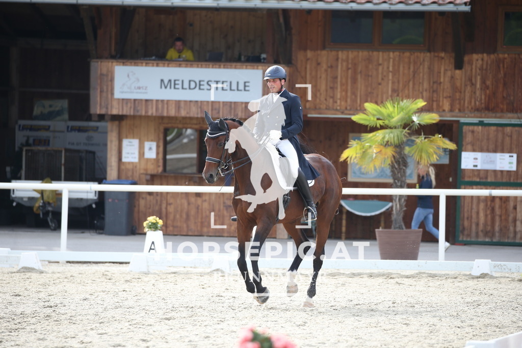 DL2Q4845 | Willkommen bei Brunnmayr - Design & Fotografie – Ihrem Spezialisten für Reitturniere und Pferdeveranstaltungen in Oberösterreich, Salzburg und Bayern! Seit über 17 Jahren sind wir leidenschaftlich dabei.