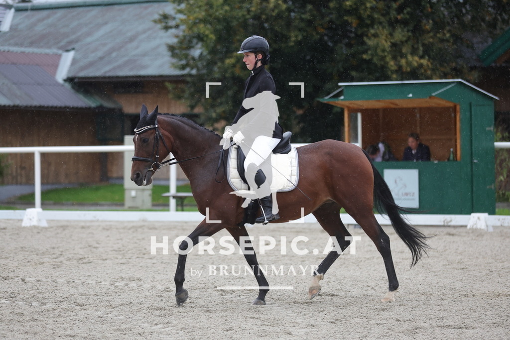 0P6A1586 | Willkommen bei Brunnmayr - Design & Fotografie – Ihrem Spezialisten für Reitturniere und Pferdeveranstaltungen in Oberösterreich, Salzburg und Bayern! Seit über 17 Jahren sind wir leidenschaftlich dabei.