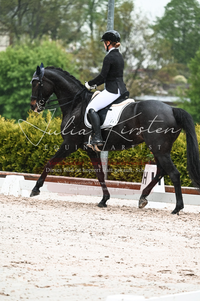 DSC_4492 | Pferde- und Turnierfotografie in Westsachsen. Pferdeportraits, Auftragszeichnungen und intuitive Kunst.