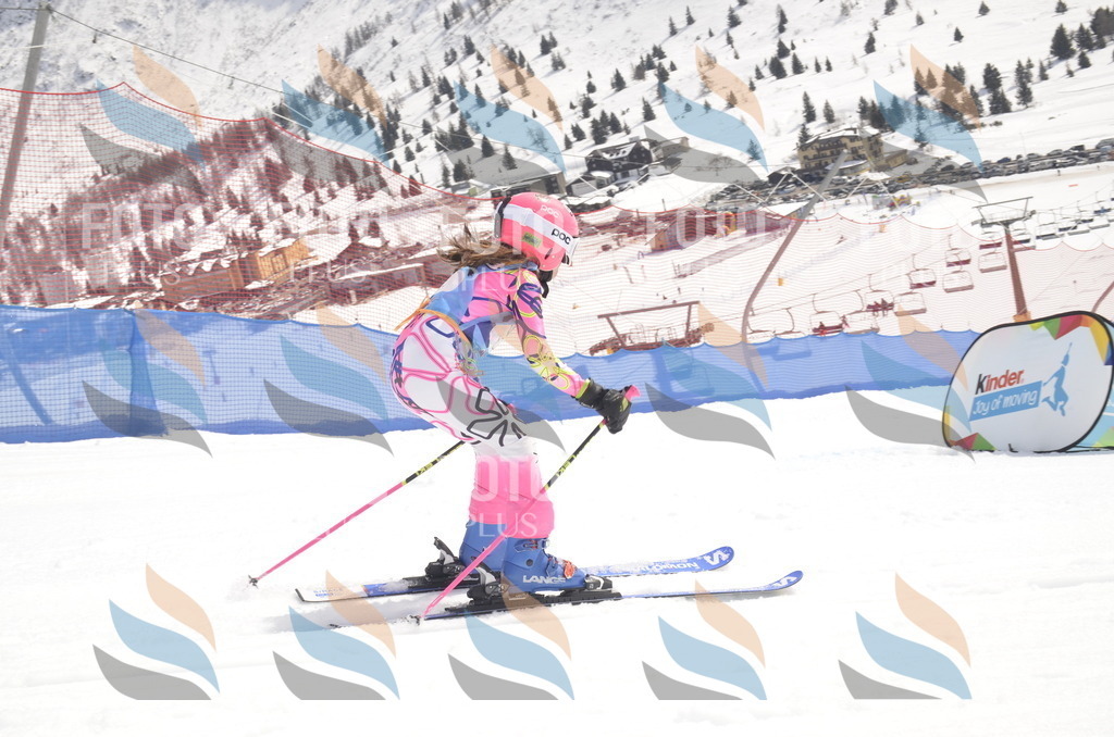 _ELE8709 | holidayphoto