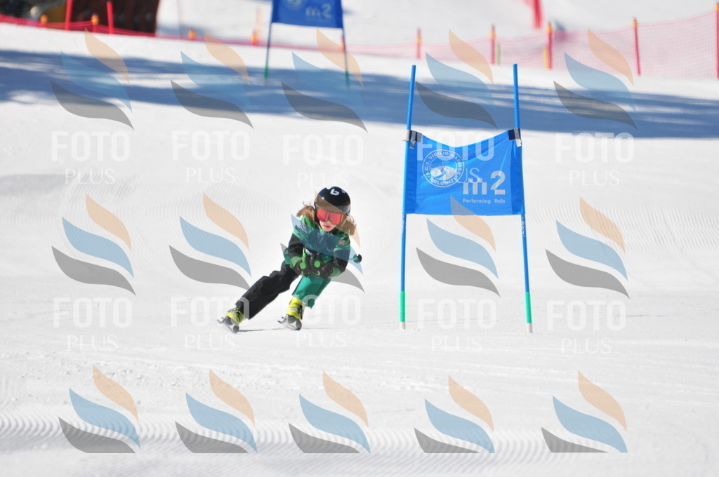 C3022 | holidayphoto