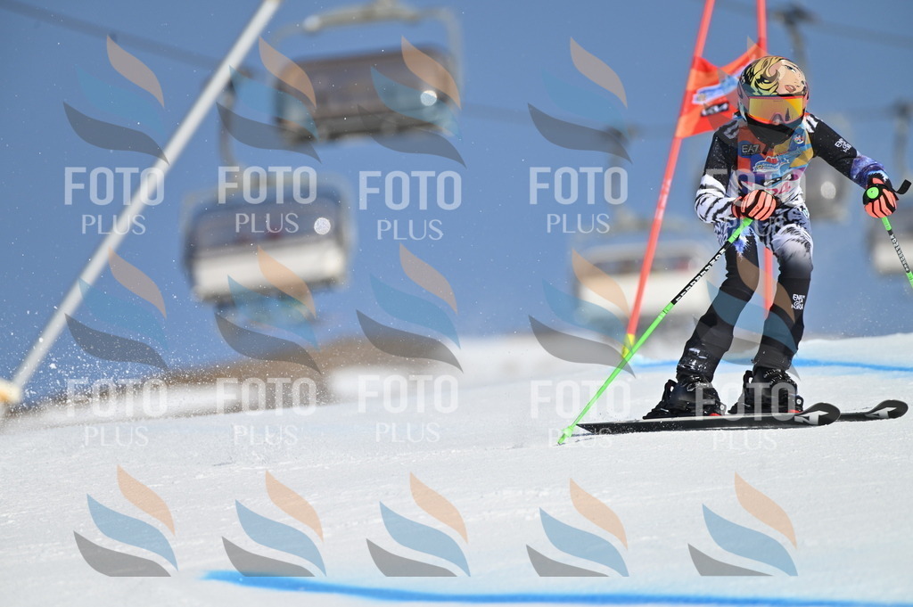 BGV_8021 | holidayphoto