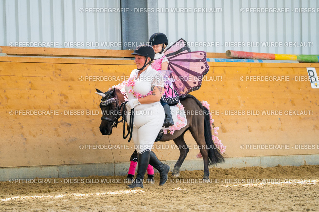 DSC00057 | Pferdegrafie