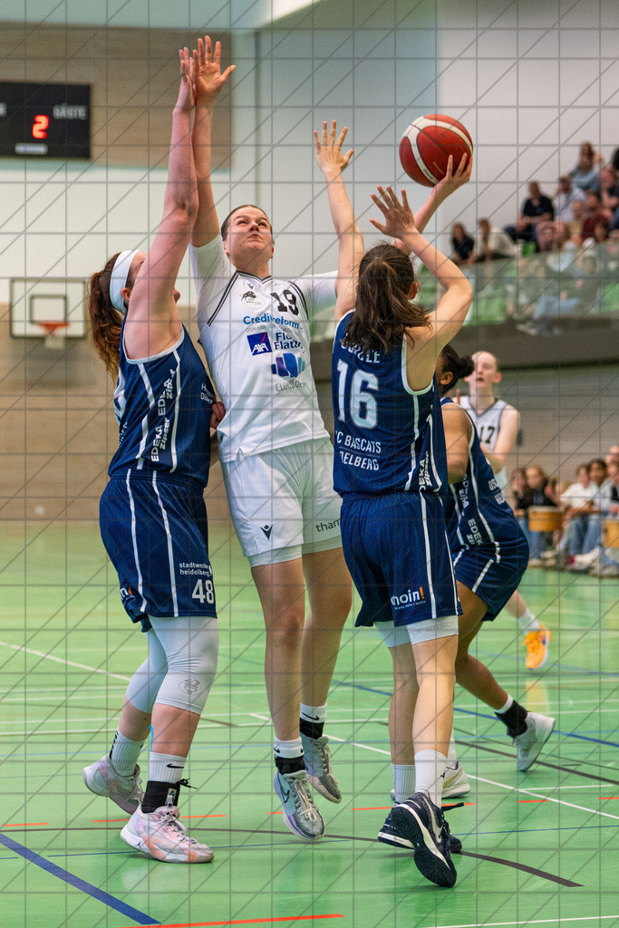 2. DBBL PlayOff 24/25 - BBC Osnabrück vs. BasCats USC Heidelberg - 1/4-Finale, 2. Spiel  | Osnabrück, Deutschland, 27.04.25: 2. DBBL PlayOff 24/25 - BBC Osnabrück vs. BasCats USC Heidelberg - 1/4-Finale, 2. Spiel Im Bild: ARLT Carlotta (BBC Osnabrück #19)CREDIT:www.bullenfotos.de, Martin Koenig, Hoerner Weg 40, D-49078 Osnabrueck, +4917663732967Nutzung und Weitergabe nur zu den vereinbarten Zwecken. Presseanfragen an Ersteller. Alle Rechte beim Ersteller. Honorierung nach MFM. - Realisiert mit Pictrs.com