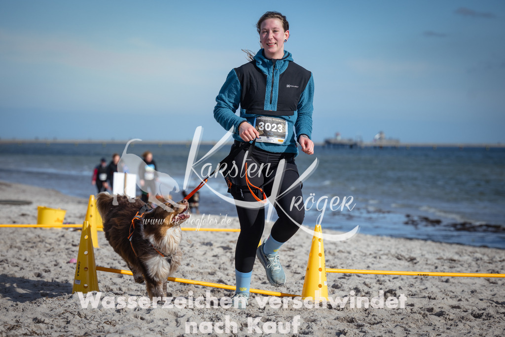 1329_ZZ91649 | kk-dogfotos