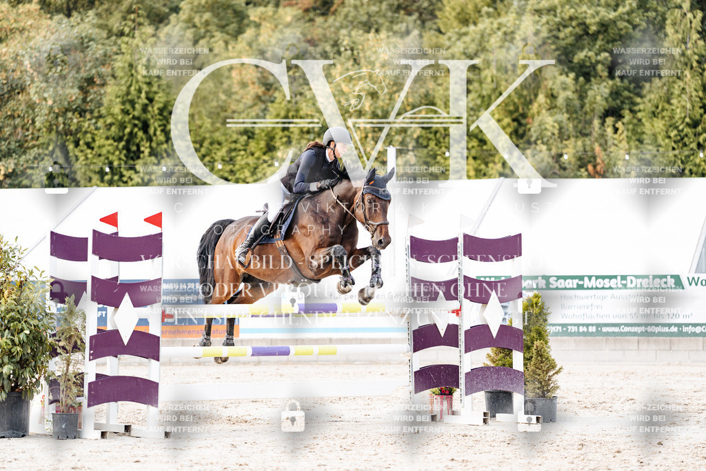 CK904006 | Turnierfotografie Pferdefotografie Trier Rheinland-Pfalz Pferdesport Reitsport Tierfotografie Sportfotografie Pferdevideo Pferdevideografie Equestrianvideography equestrianphotography  - Realisiert mit Pictrs.com