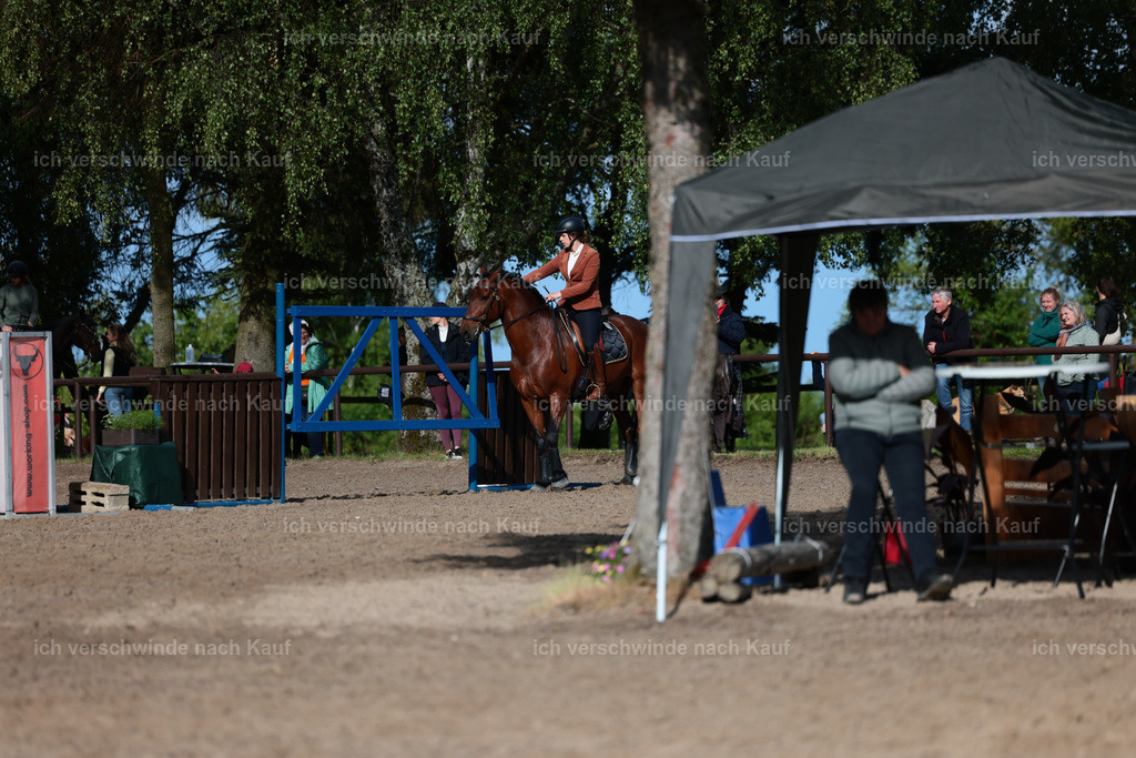 KlasseL_Stoibphotography_CAM24049.JPG | working equitationturnier fotograf videograf stoibphotography marixx film working equitation deutschland reitsport turnierfotografie eventfotografie equestrian events
