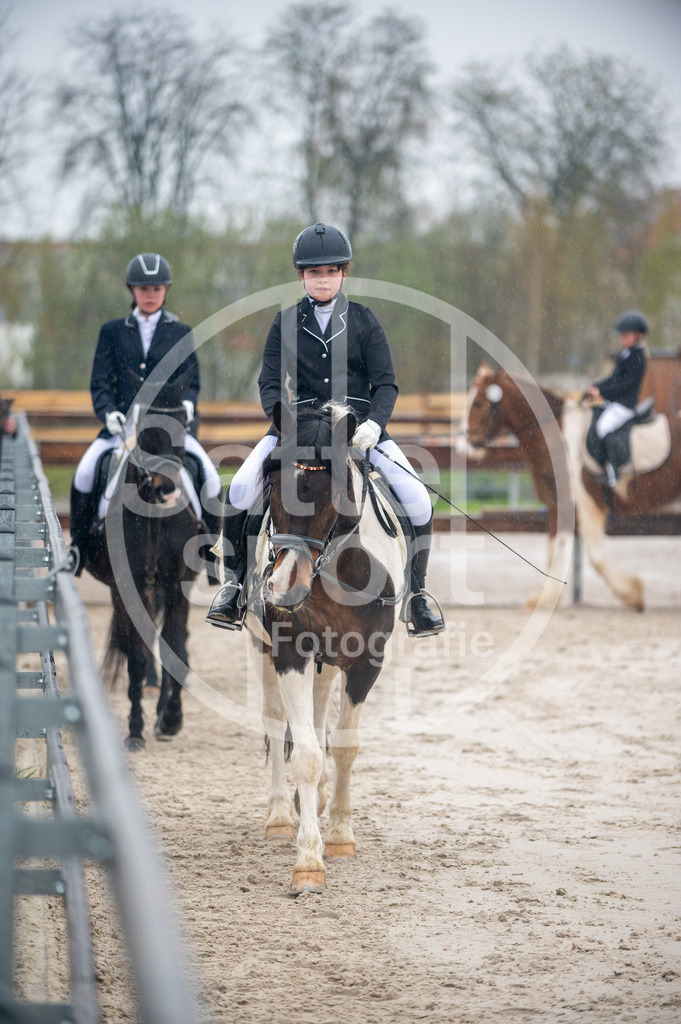 DSC_2769 | sattelsport - Realisiert mit Pictrs.com