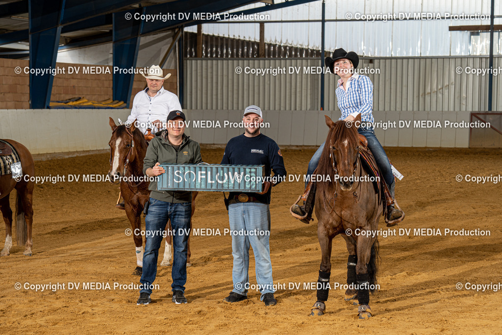 MIT00333 | dv-media-shop - Realisiert mit Pictrs.com