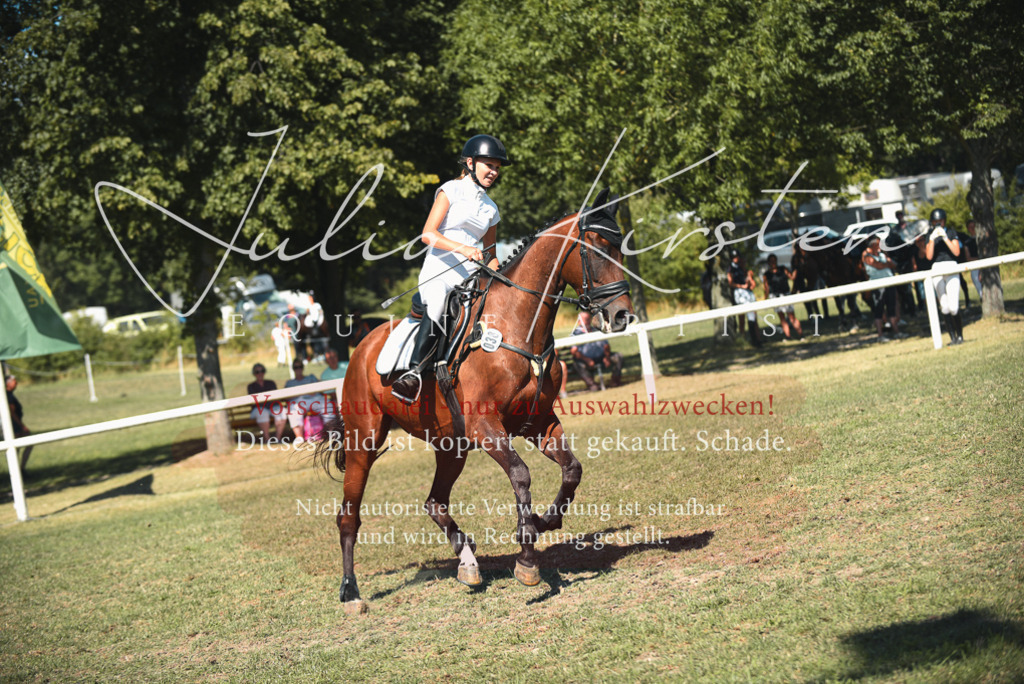DSC_7034 | Pferde- und Turnierfotografie in Westsachsen. Pferdeportraits, Auftragszeichnungen und intuitive Kunst.