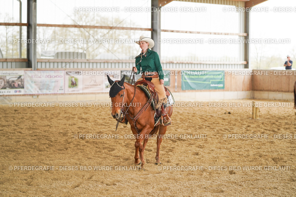 DSC04637 | Pferdegrafie