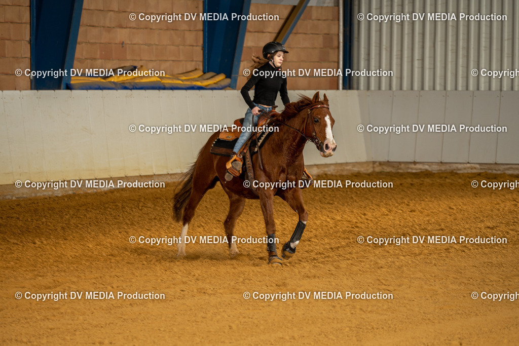 MIT00858 | dv-media-shop - Realisiert mit Pictrs.com