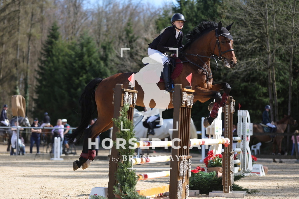 0P6A8935 | Willkommen bei Brunnmayr - Design & Fotografie – Ihrem Spezialisten für Reitturniere und Pferdeveranstaltungen in Oberösterreich, Salzburg und Bayern! Seit über 17 Jahren sind wir leidenschaftlich dabei.